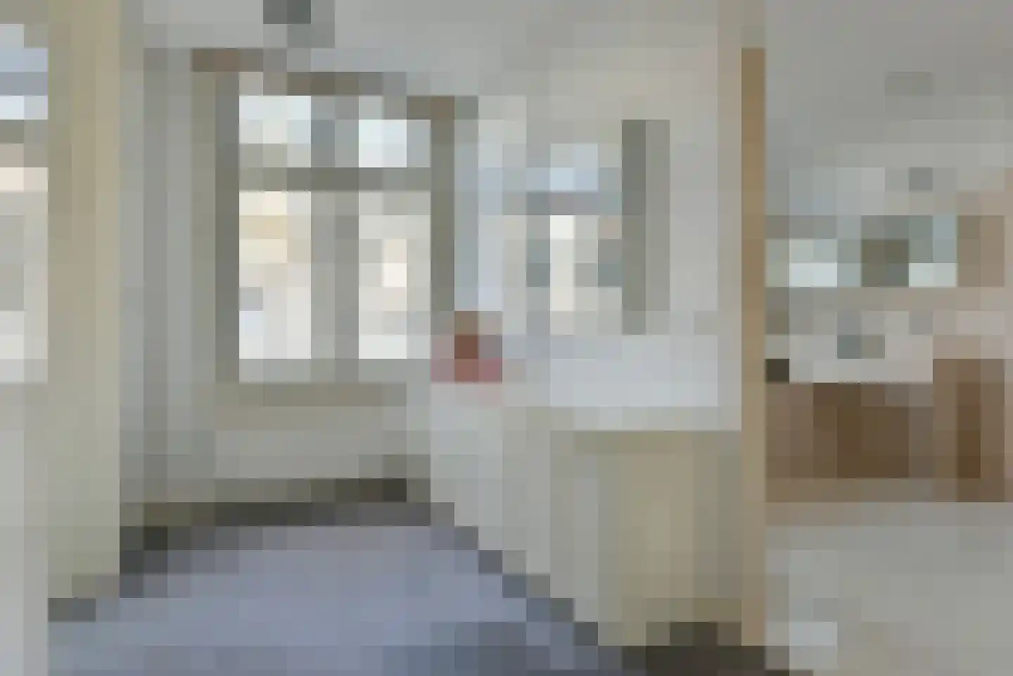 De Lairessestraat 14 2 Amsterdam thumbnail 19