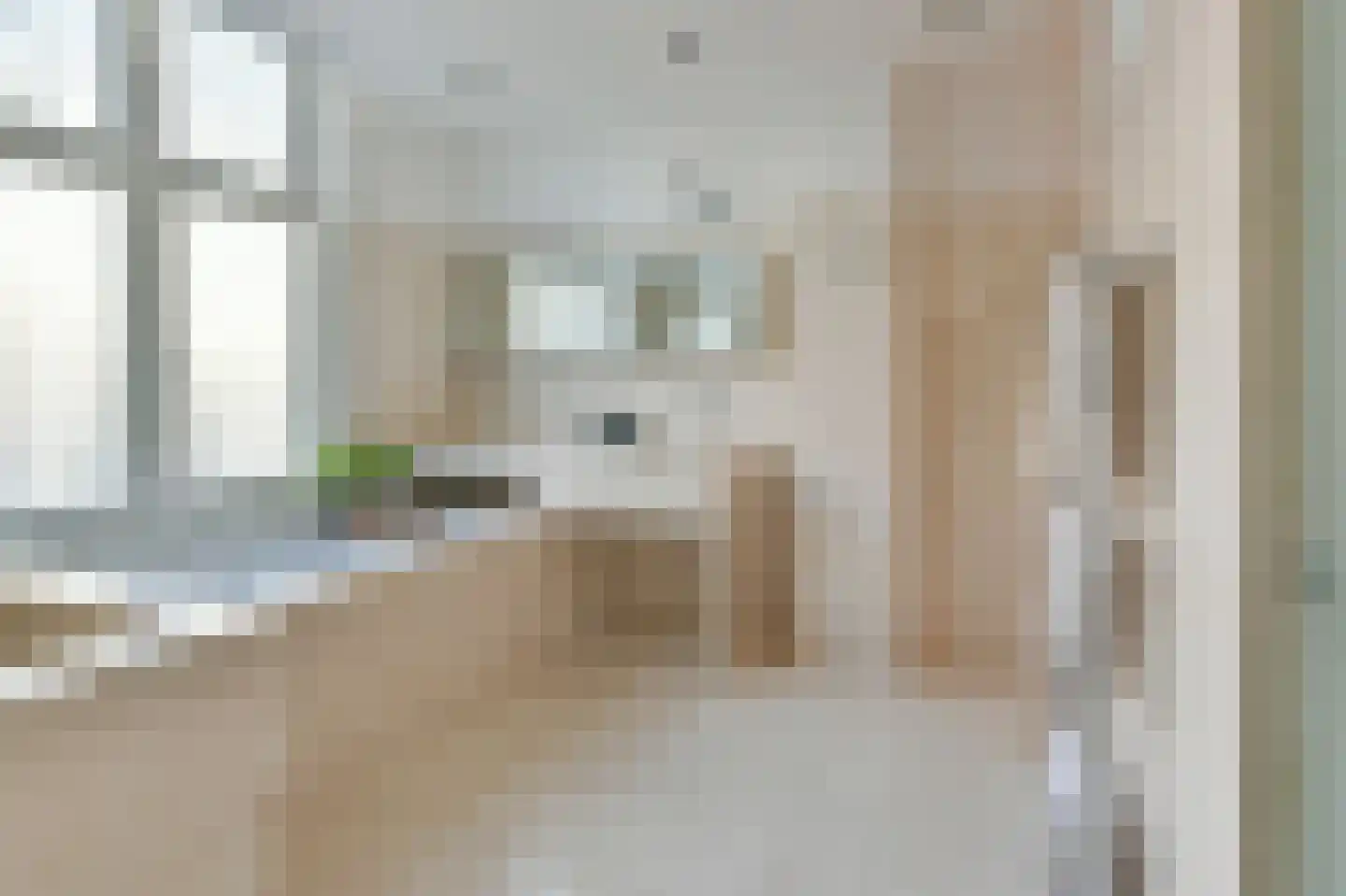 De Lairessestraat 14 2 Amsterdam thumbnail 20