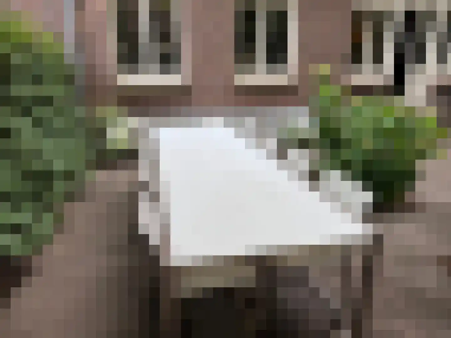 De Lairessestraat 14 2 Amsterdam thumbnail 35