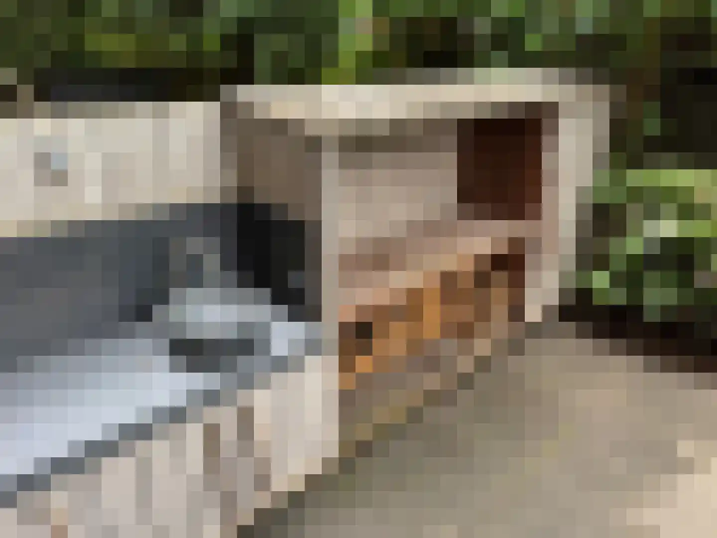 De Lairessestraat 14 2 Amsterdam thumbnail 36