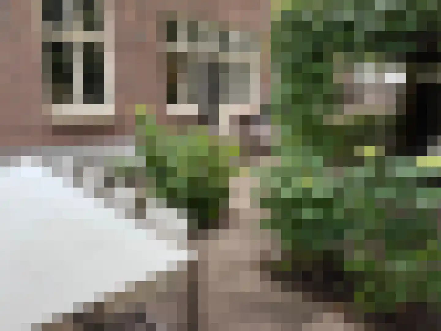 De Lairessestraat 14 2 Amsterdam thumbnail 37