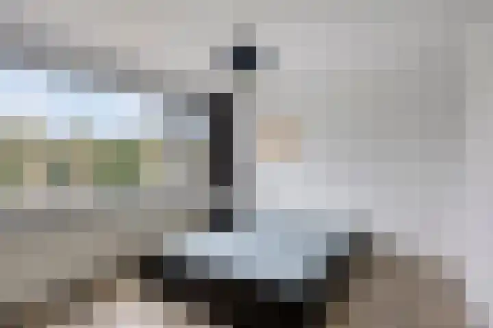 de Lairessestraat 14 Krimpen aan den IJssel thumbnail 12