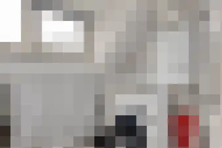 de Lairessestraat 14 Krimpen aan den IJssel thumbnail 22