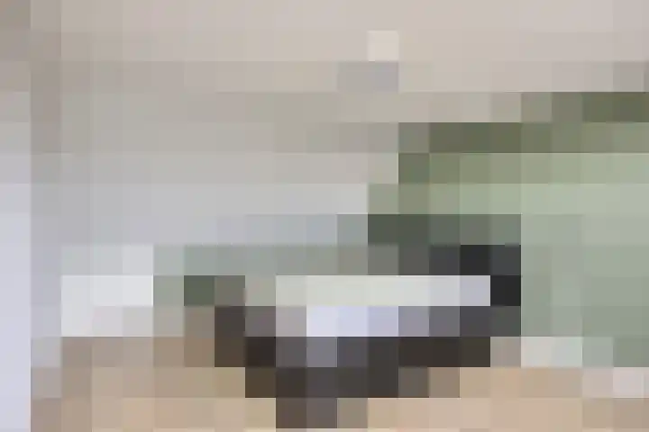 de Lairessestraat 14 Krimpen aan den IJssel thumbnail 25
