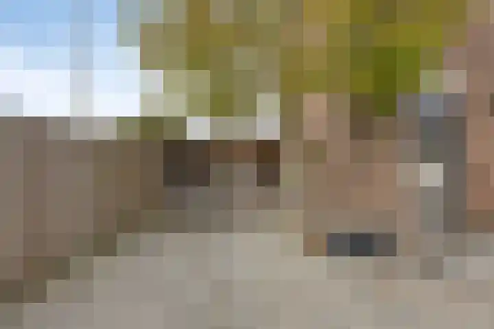 de Lairessestraat 14 Krimpen aan den IJssel thumbnail 28