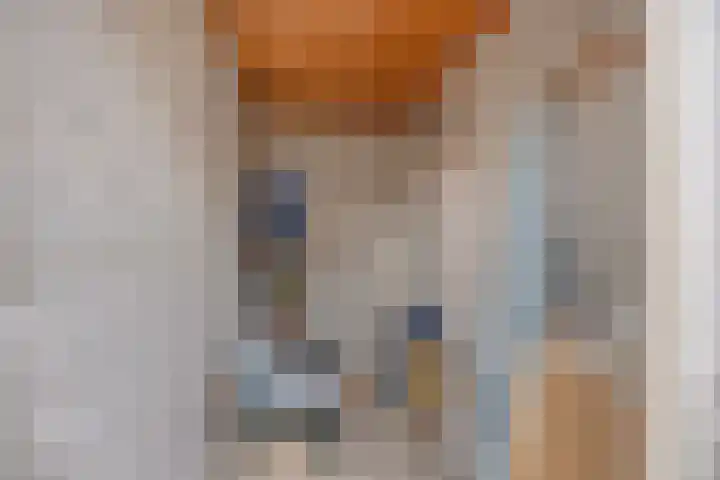 de Lairessestraat 14 Krimpen aan den IJssel thumbnail 30