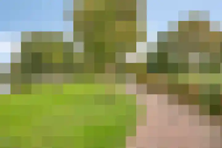de Lairessestraat 14 Krimpen aan den IJssel thumbnail 34