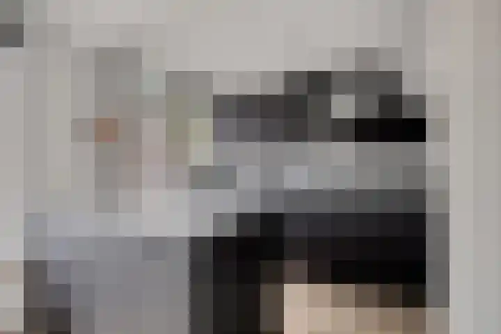 de Lairessestraat 14 Krimpen aan den IJssel thumbnail 5