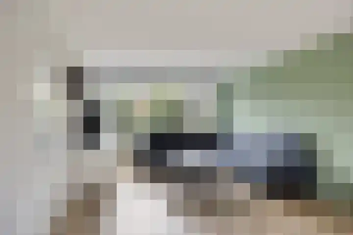 de Lairessestraat 14 Krimpen aan den IJssel thumbnail 7