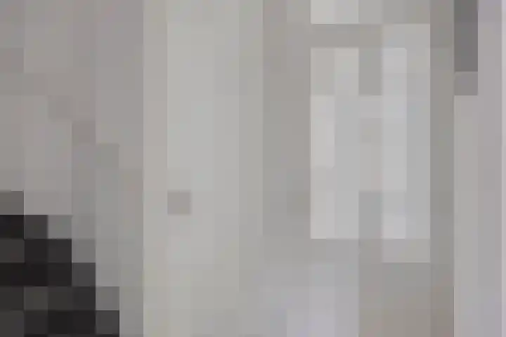de Lairessestraat 14 Krimpen aan den IJssel thumbnail 8