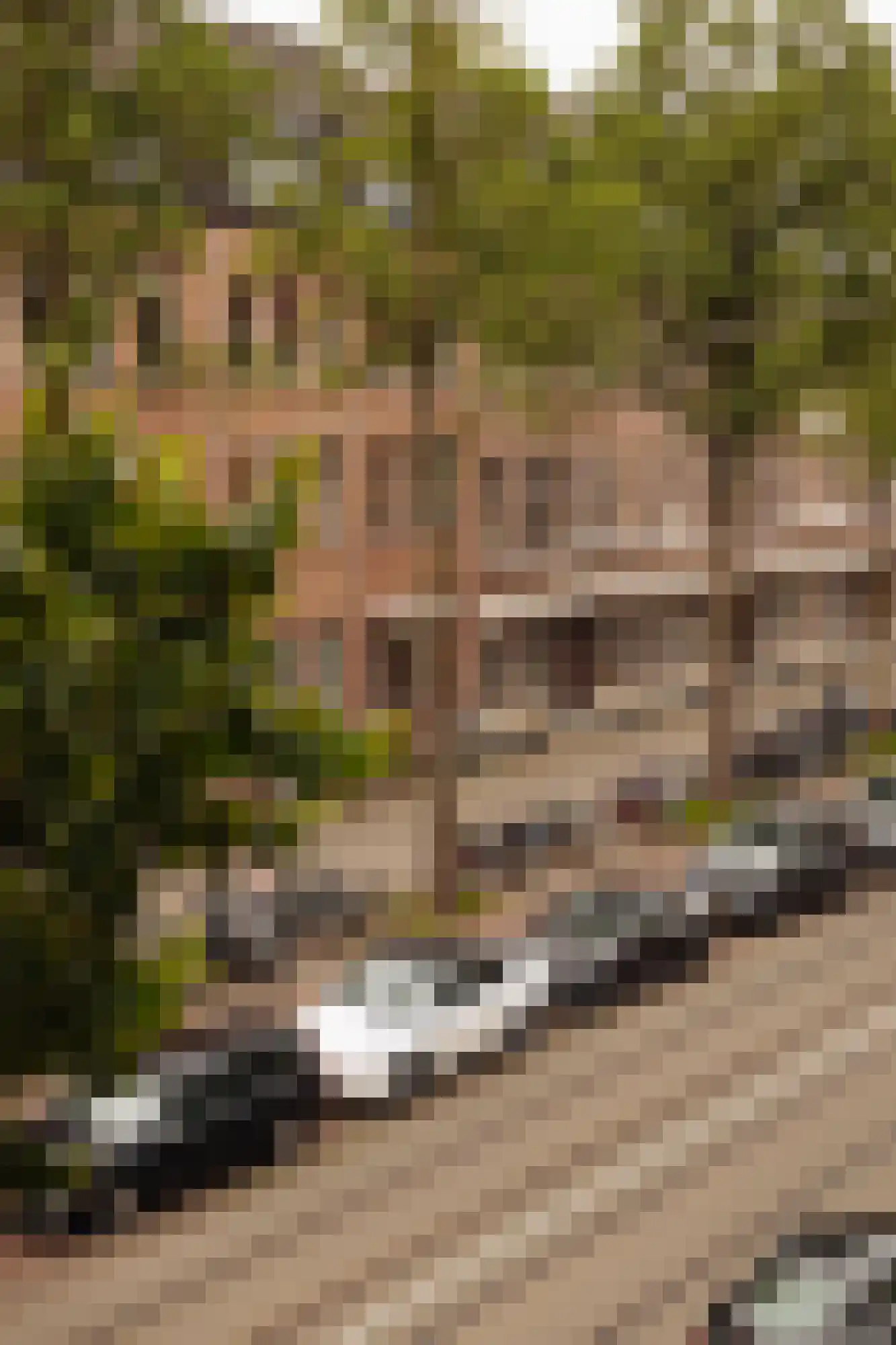 De Lairessestraat 142 D Amsterdam thumbnail 23