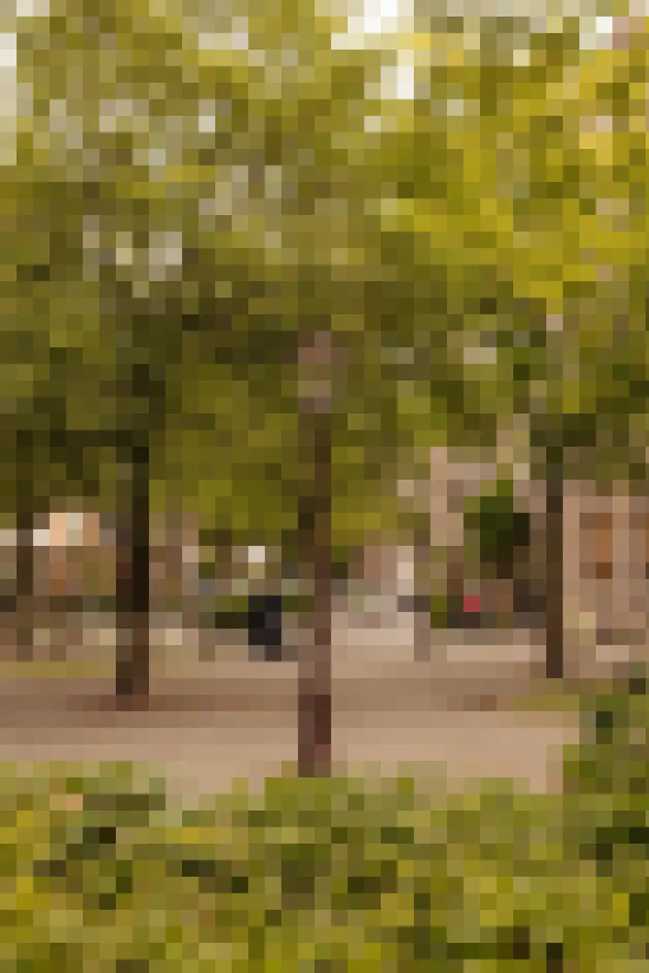 De Lairessestraat 142 D Amsterdam thumbnail 26