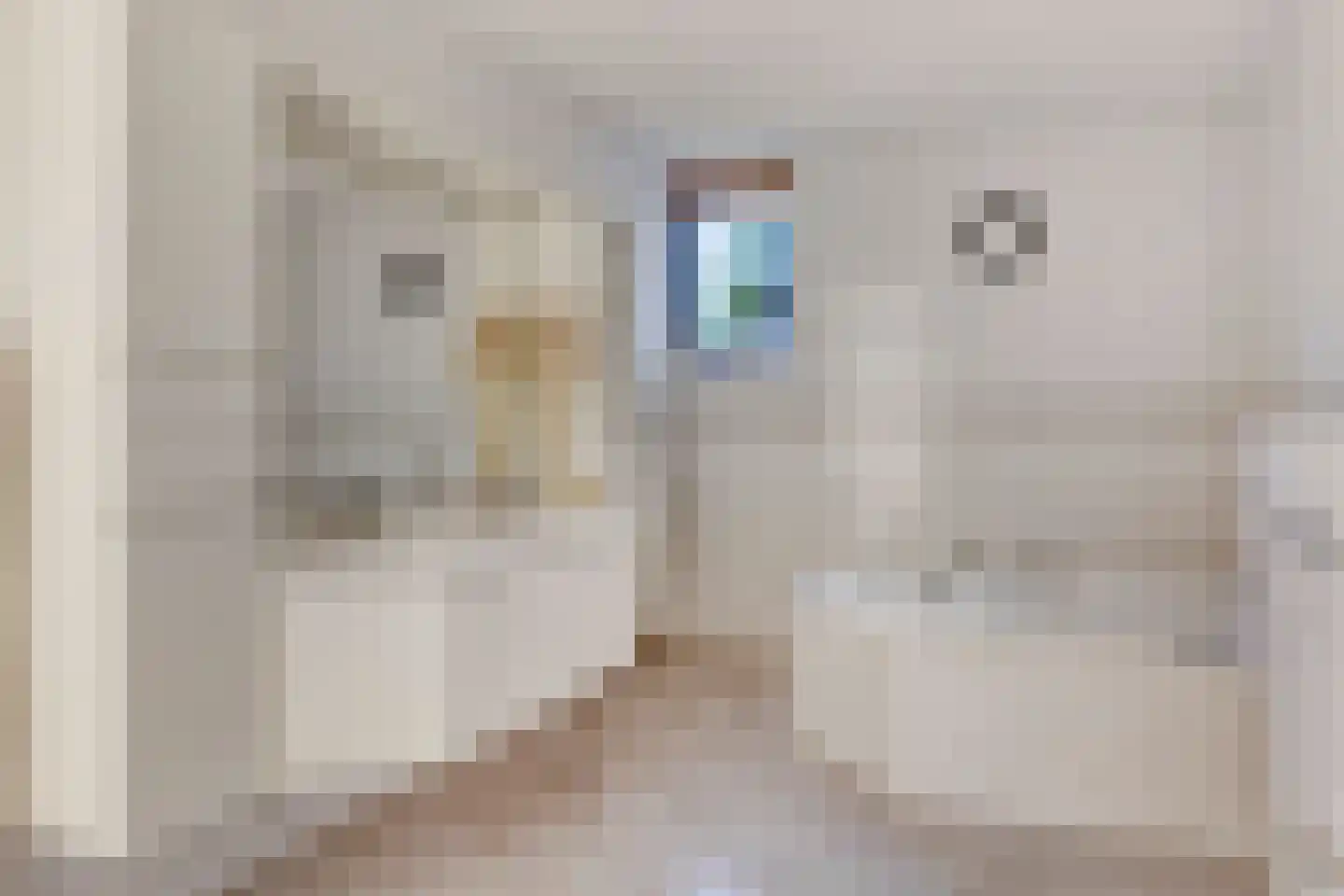 de Lairessestraat 15 Krimpen aan den IJssel thumbnail 17