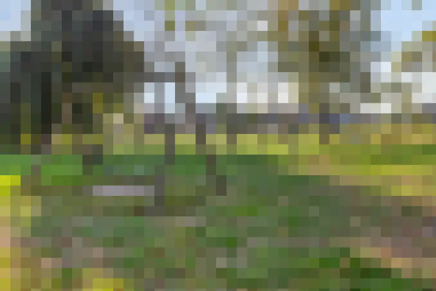 de Lairessestraat 15 Krimpen aan den IJssel thumbnail 43