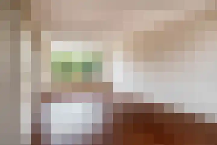 de Lairessestraat 24 Krimpen aan den IJssel thumbnail 15