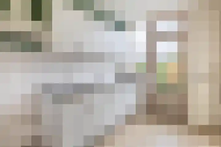 de Lairessestraat 24 Krimpen aan den IJssel thumbnail 16
