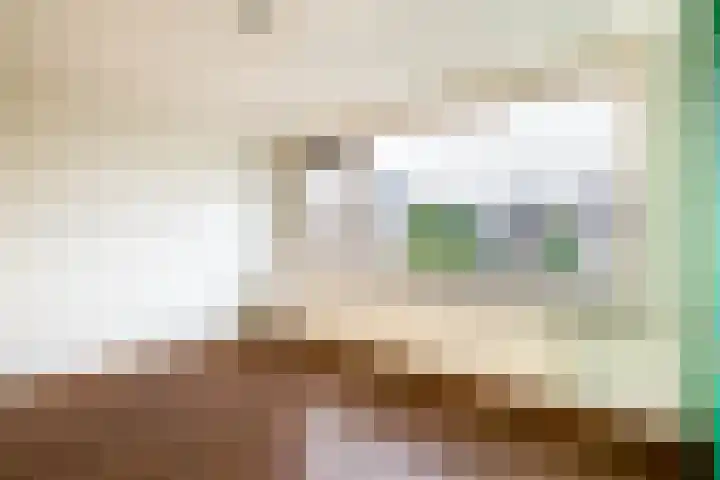 de Lairessestraat 24 Krimpen aan den IJssel thumbnail 25