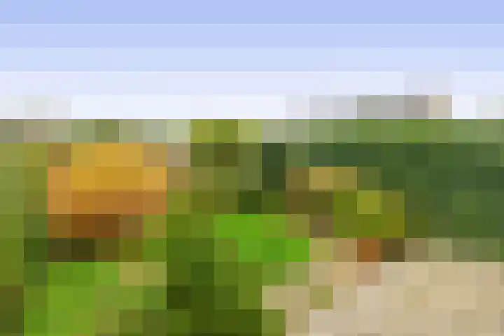 de Lairessestraat 24 Krimpen aan den IJssel thumbnail 34