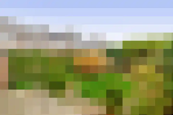 de Lairessestraat 24 Krimpen aan den IJssel thumbnail 35