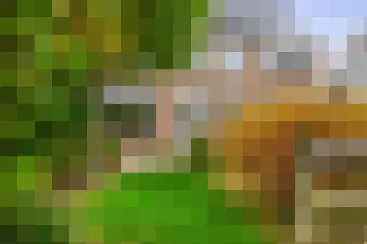 de Lairessestraat 24 Krimpen aan den IJssel thumbnail 36