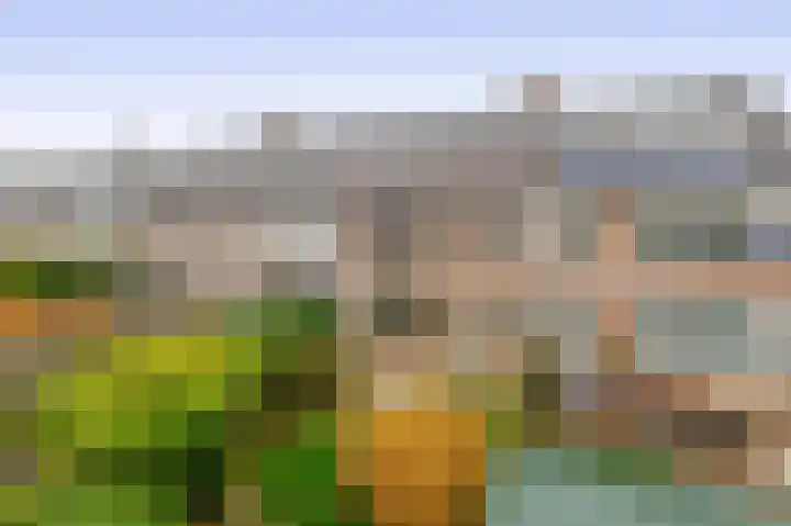 de Lairessestraat 24 Krimpen aan den IJssel thumbnail 37