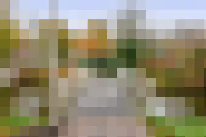 de Lairessestraat 24 Krimpen aan den IJssel thumbnail 39