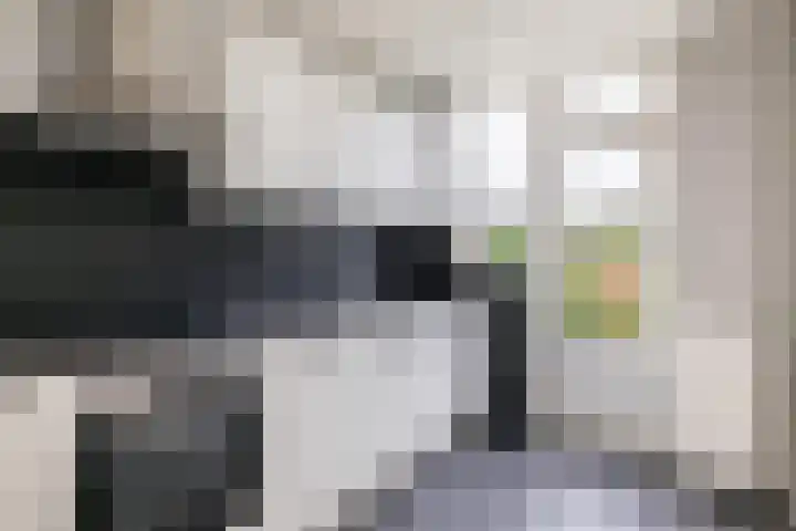 de Lairessestraat 24 Krimpen aan den IJssel thumbnail 42