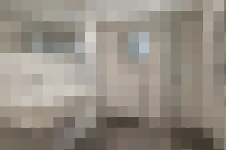 de Lairessestraat 24 Krimpen aan den IJssel thumbnail 43