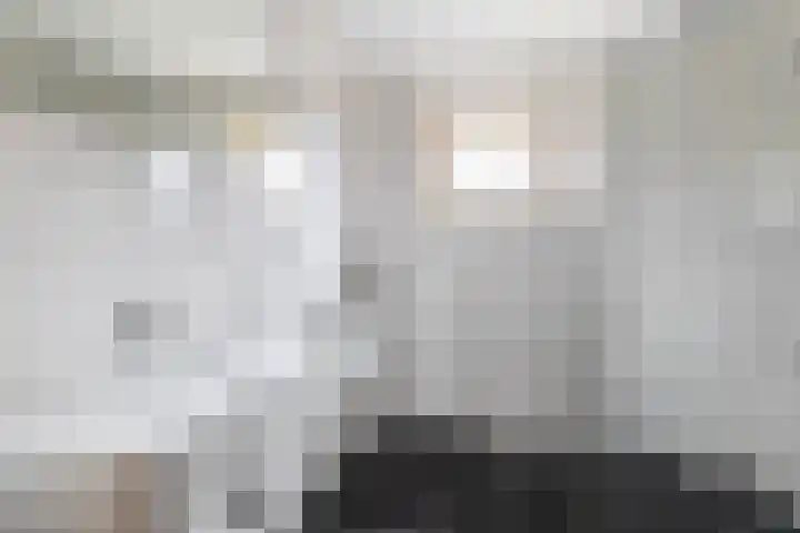 de Lairessestraat 24 Krimpen aan den IJssel thumbnail 5
