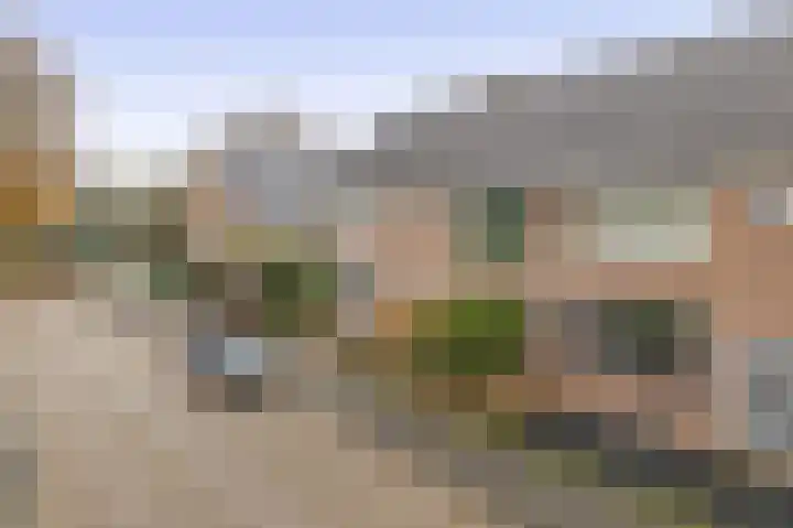 de Lairessestraat 24 Krimpen aan den IJssel thumbnail 6