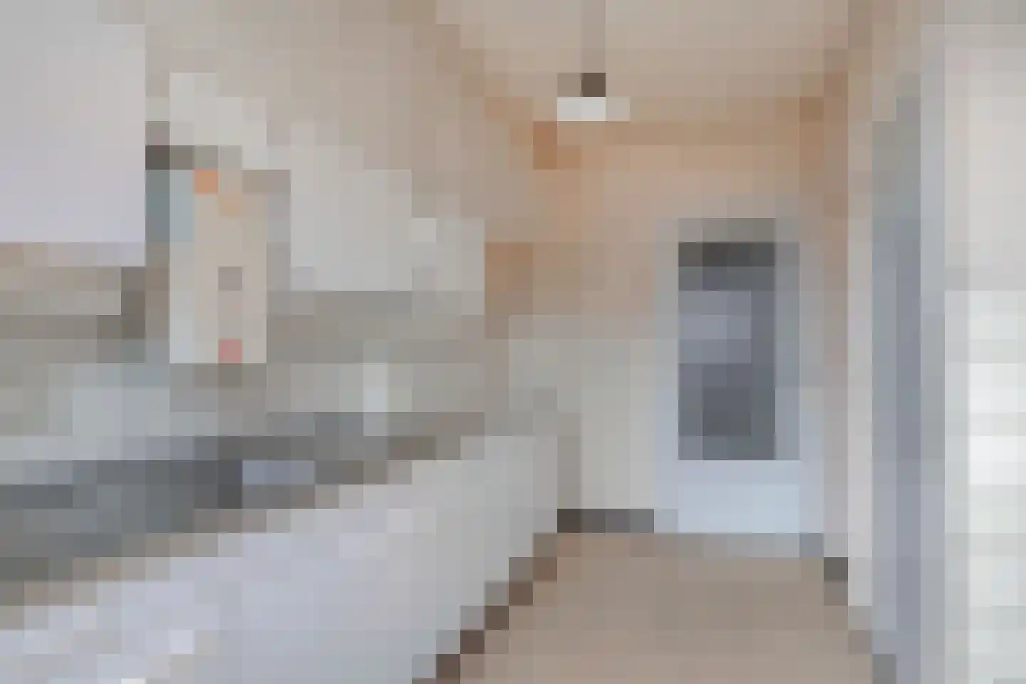 de Lairessestraat 29 Eindhoven thumbnail 12
