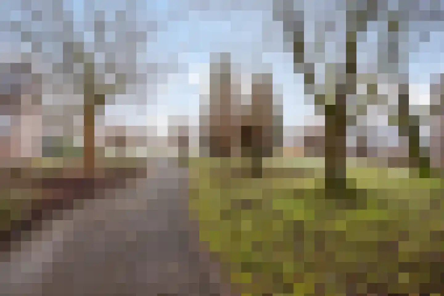 de Lairessestraat 29 Eindhoven thumbnail 33