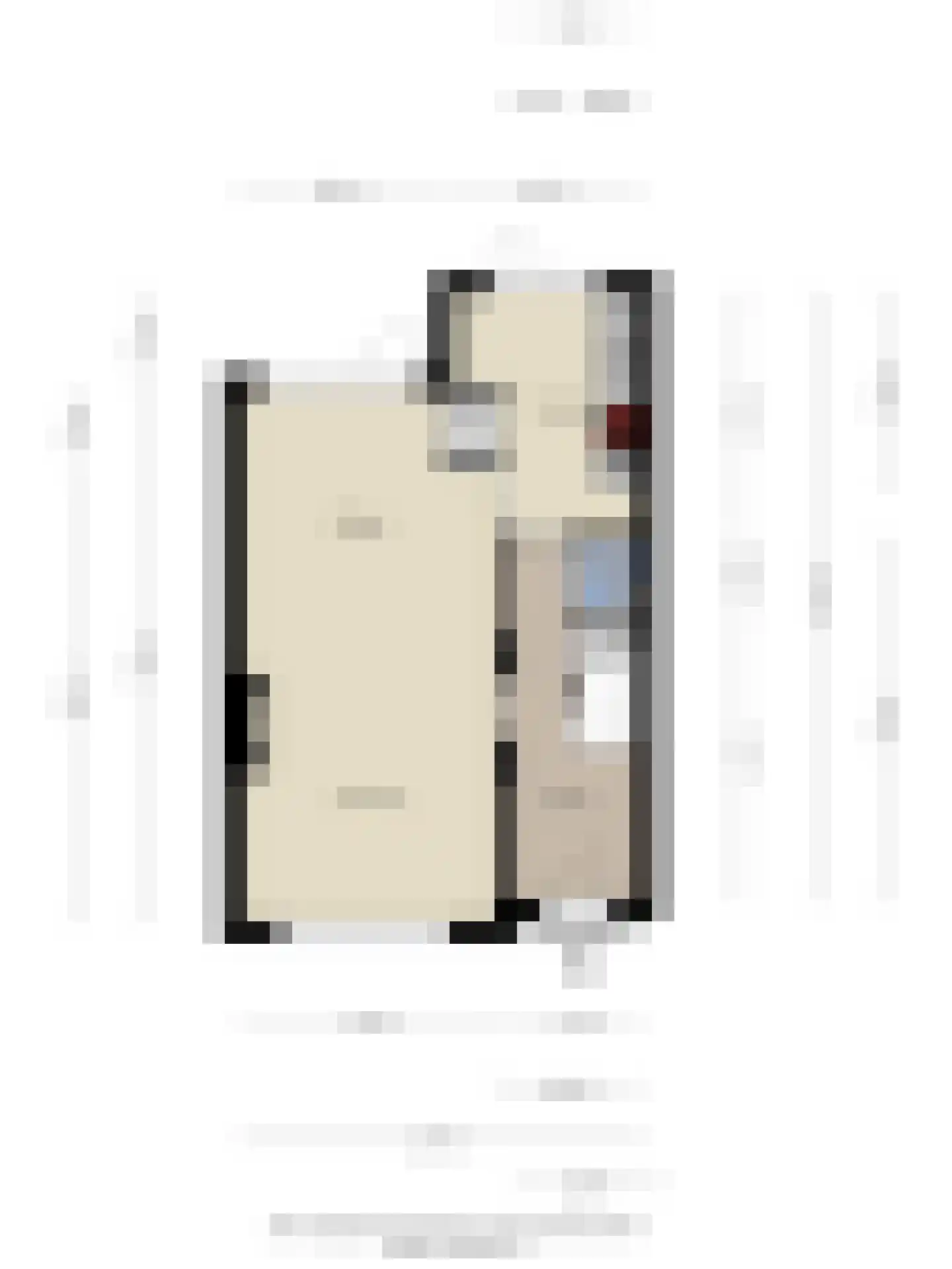 de Lairessestraat 29 Eindhoven thumbnail 35