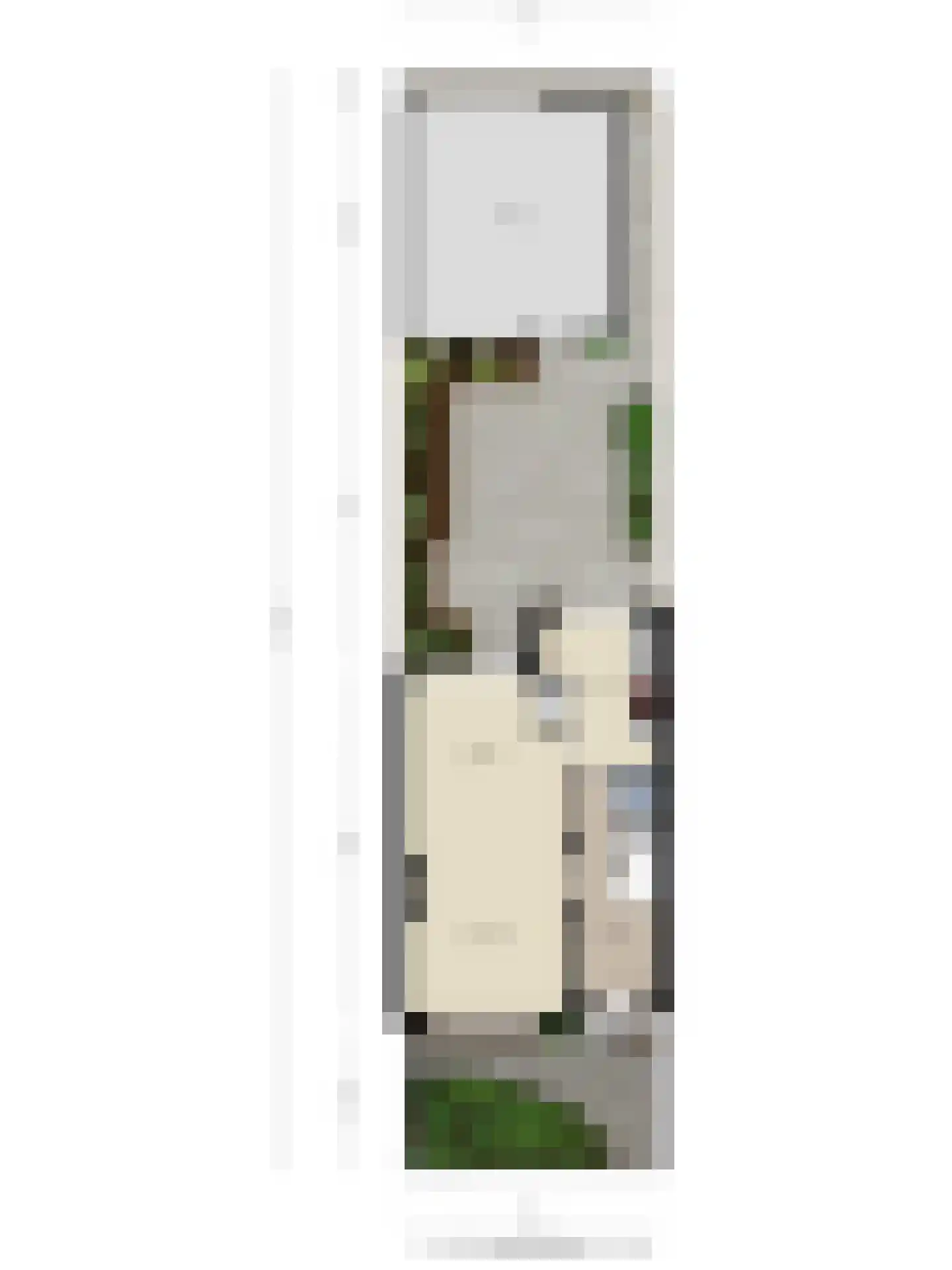 de Lairessestraat 29 Eindhoven thumbnail 36