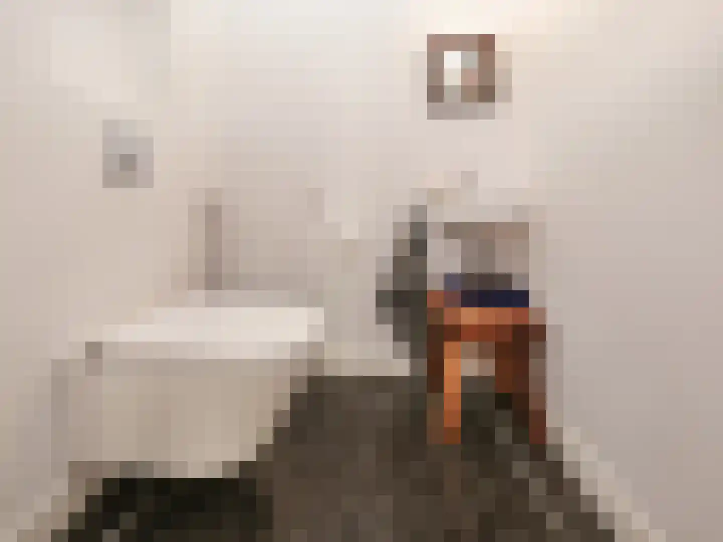 De Lairessestraat 68 2 Amsterdam thumbnail 26
