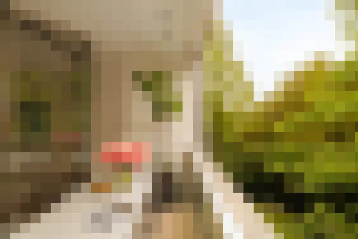 De Lairessestraat 70 Amsterdam thumbnail 4