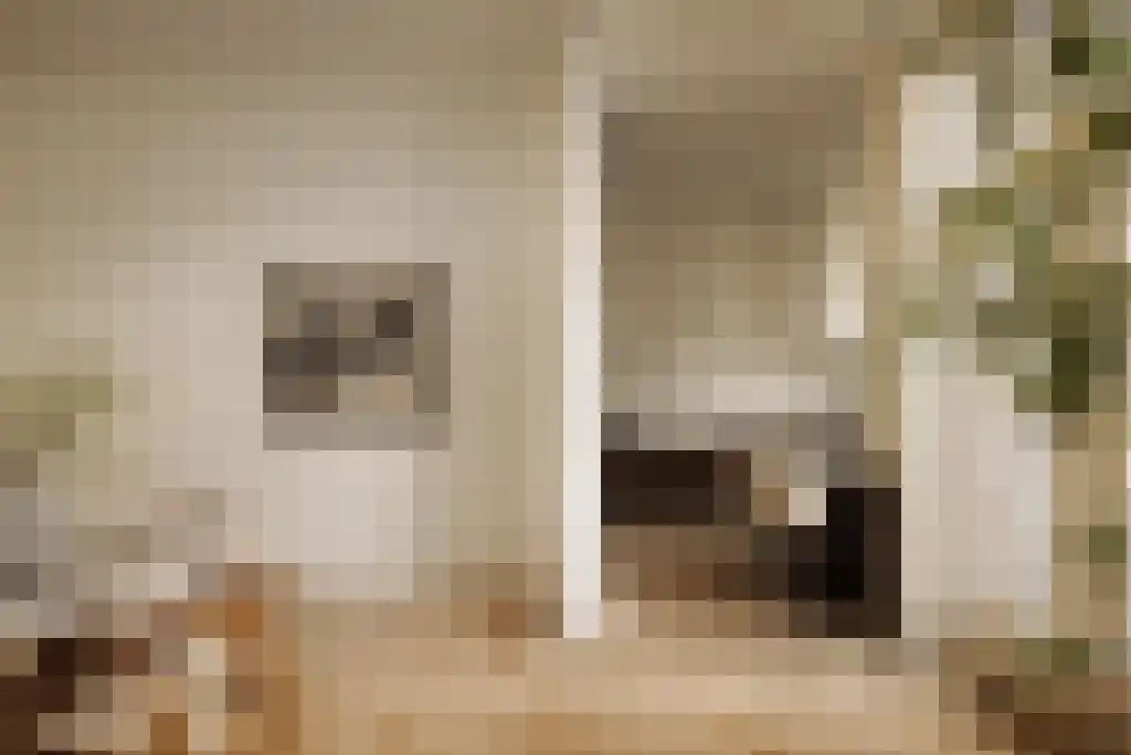 De Lairessestraat 86 H Amsterdam thumbnail 14