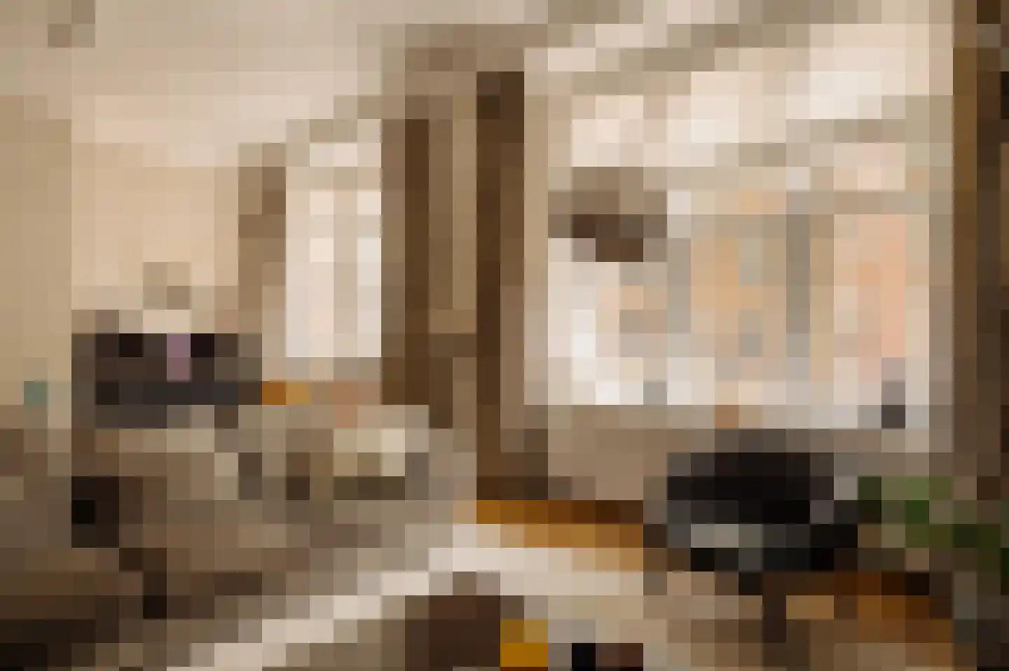 De Lairessestraat 88 Amsterdam thumbnail 10