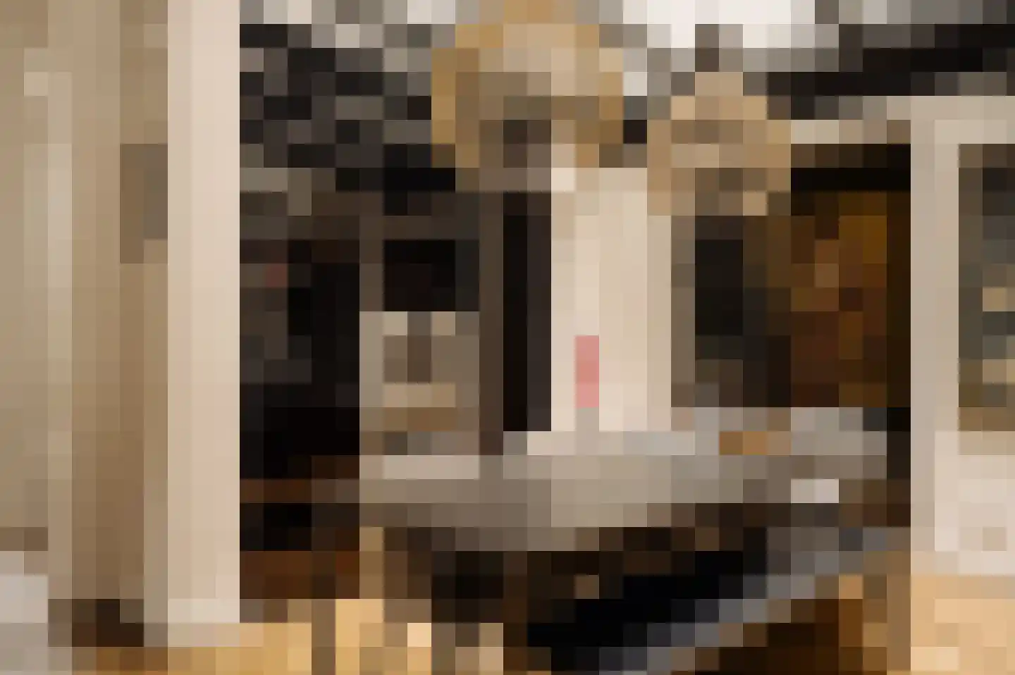 De Lairessestraat 88 Amsterdam thumbnail 16