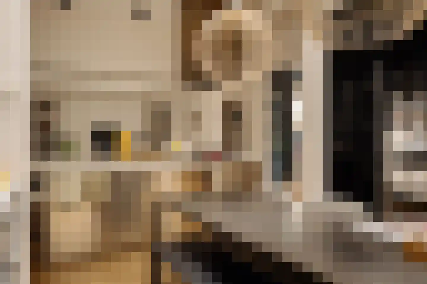 De Lairessestraat 88 Amsterdam thumbnail 17
