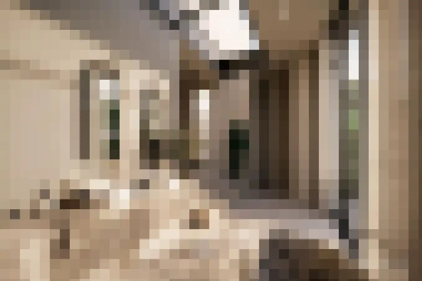 De Lairessestraat 88 Amsterdam thumbnail 35