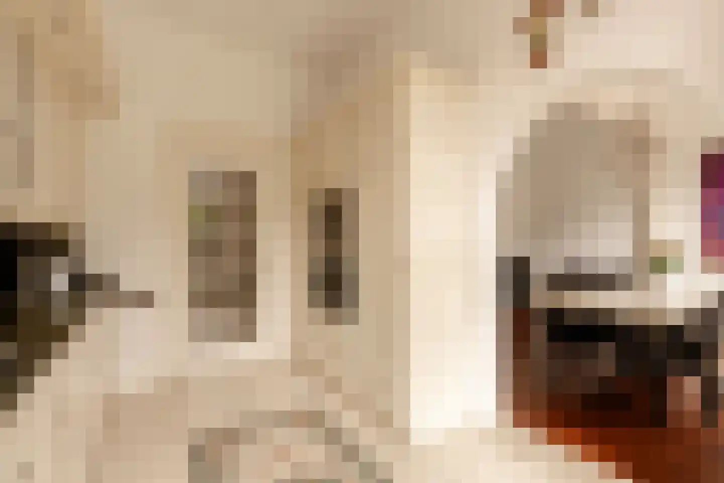 De Lairessestraat 91 Amsterdam thumbnail 12