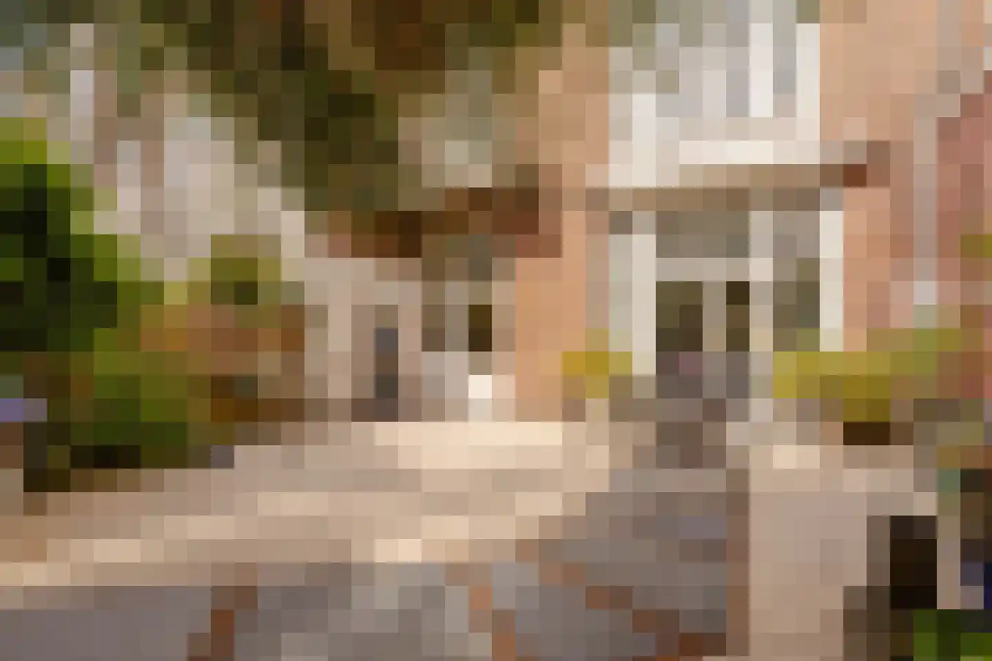 De Lairessestraat 91 Amsterdam thumbnail 15