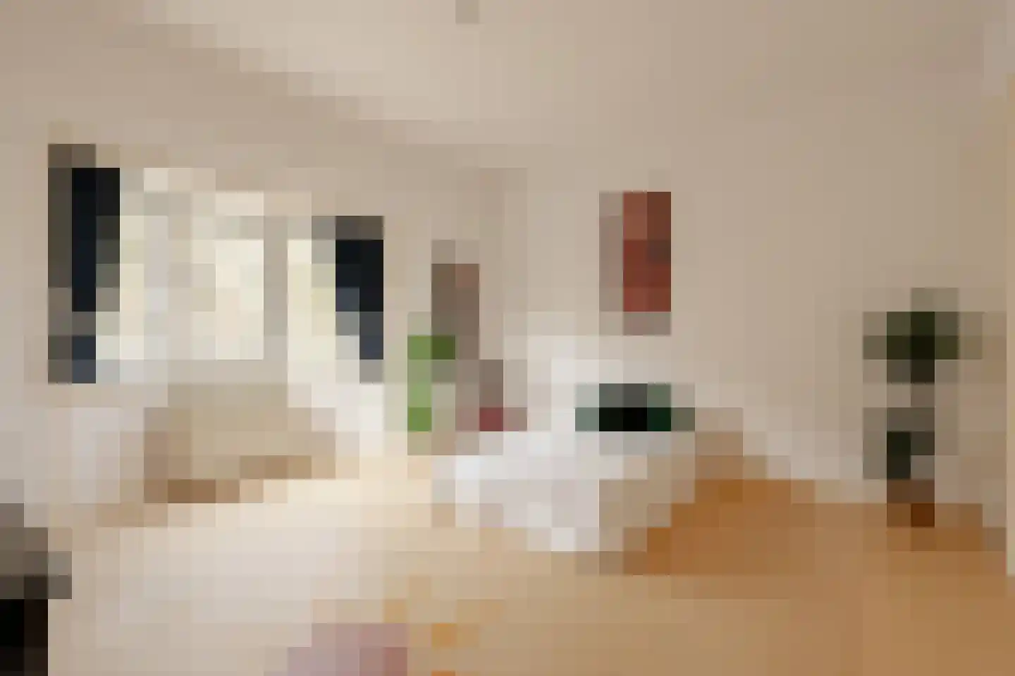 De Lairessestraat 91 Amsterdam thumbnail 30