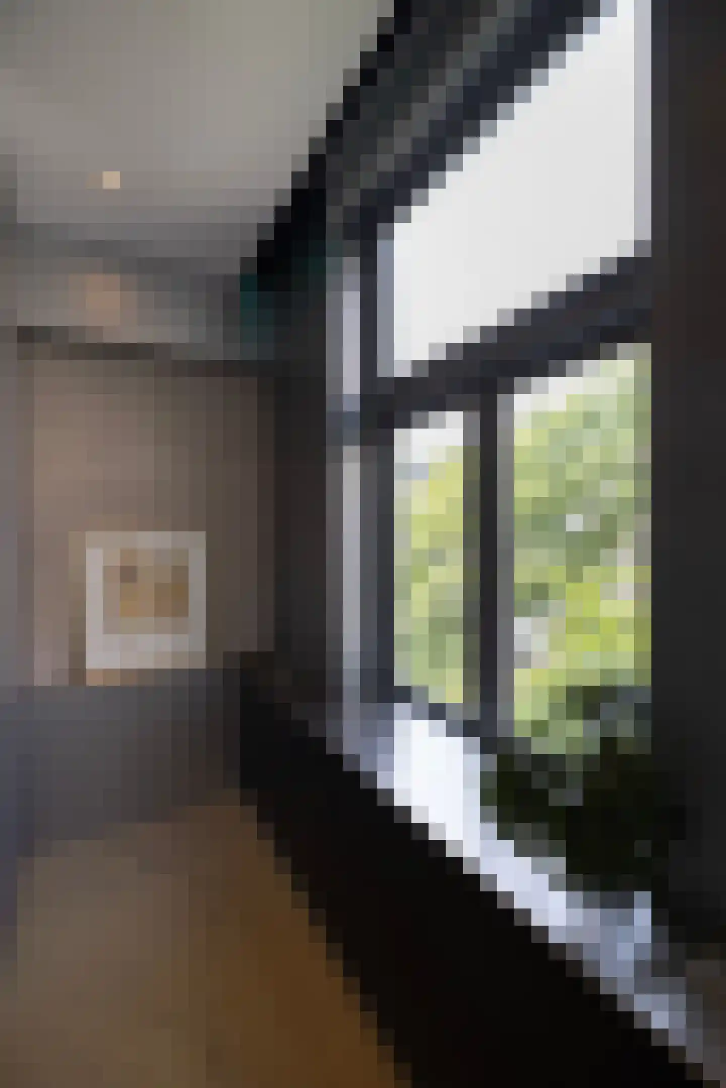 De Lairessestraat 96 4 Amsterdam thumbnail 40