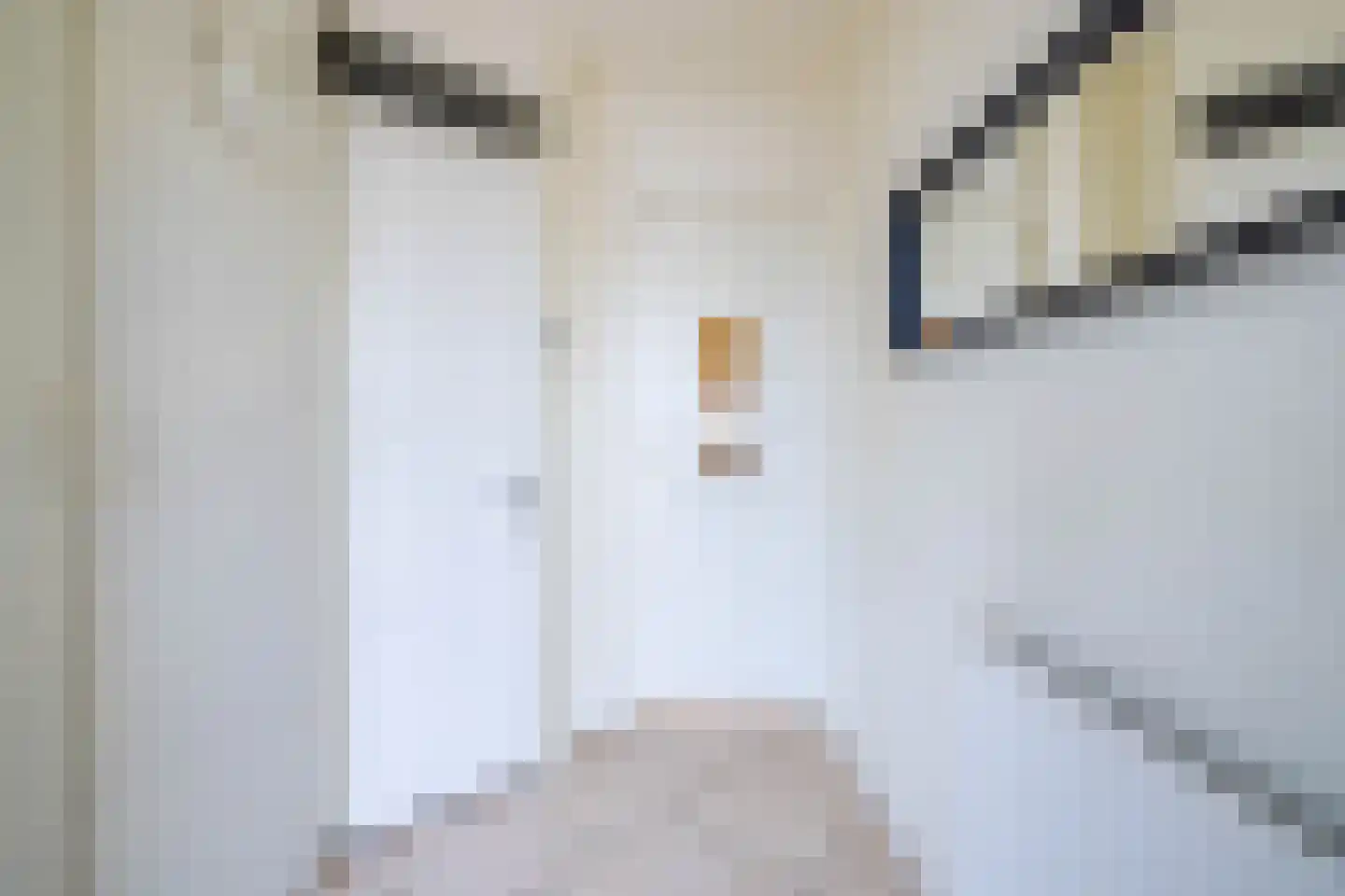 De Lamartinestraat 15 Rotterdam thumbnail 12