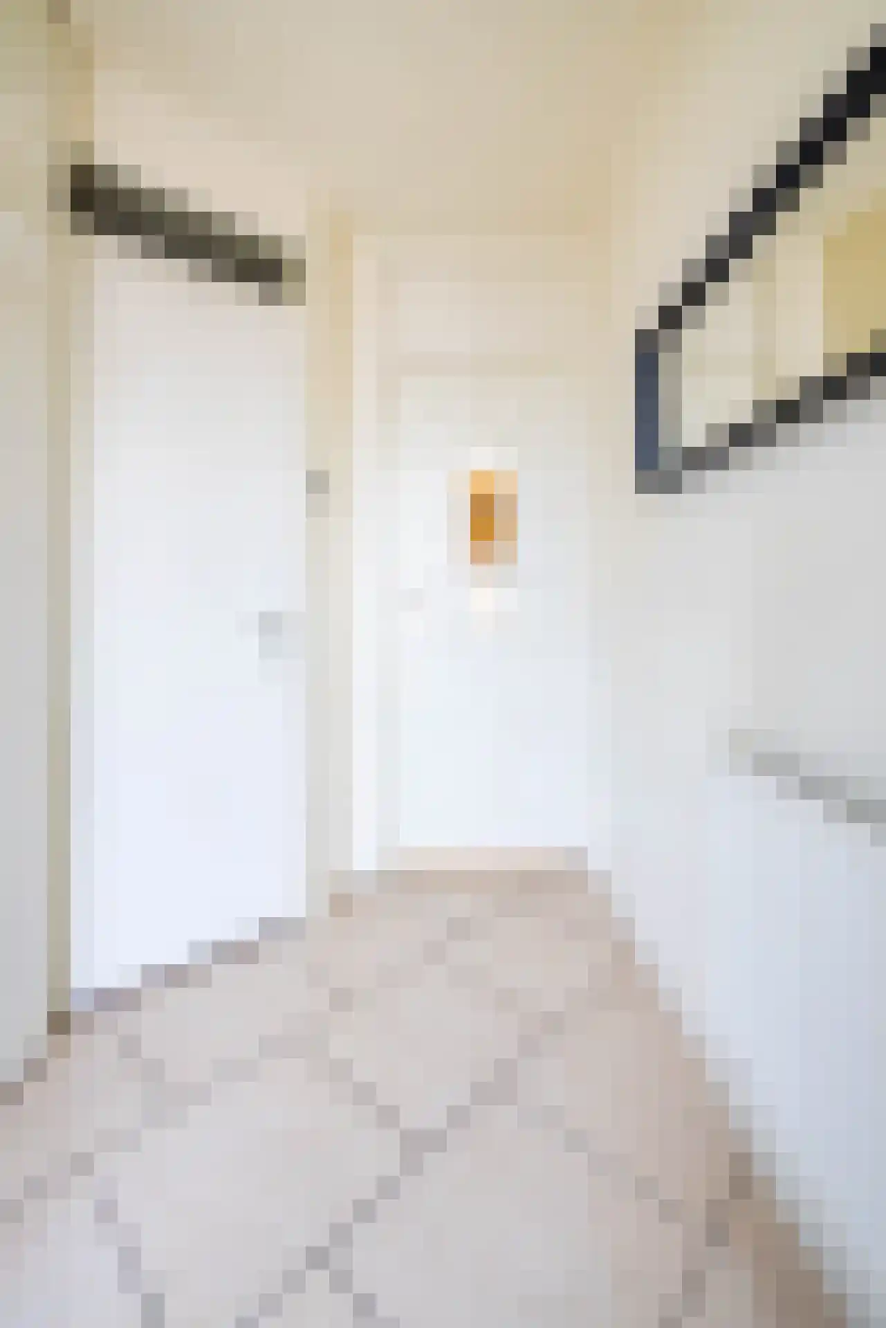 De Lamartinestraat 15 Rotterdam thumbnail 13