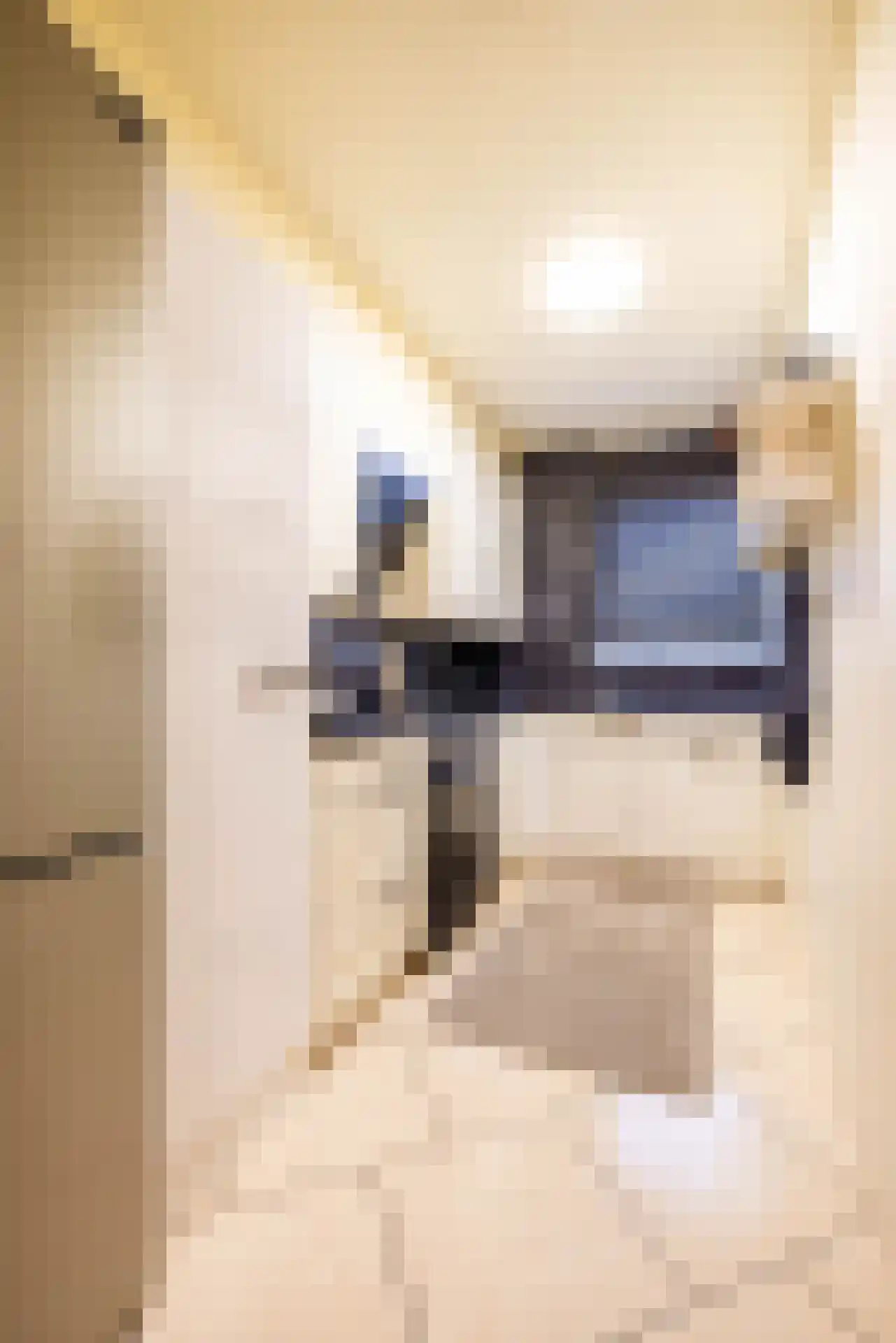 De Lamartinestraat 15 Rotterdam thumbnail 25