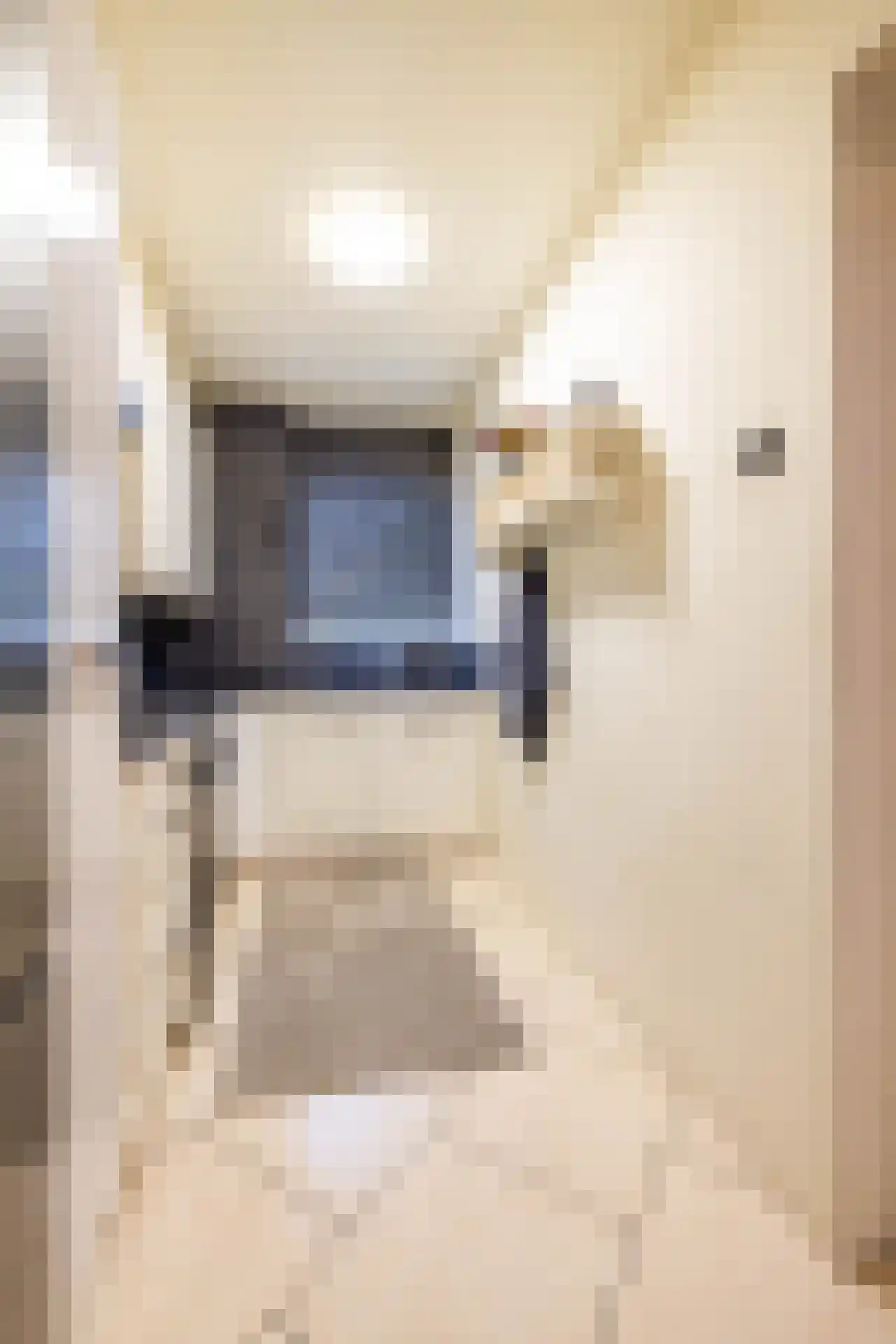 De Lamartinestraat 15 Rotterdam thumbnail 26