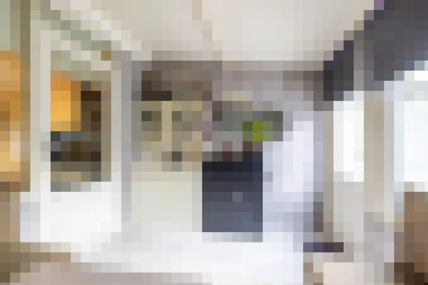 De Lamartinestraat 15 Rotterdam thumbnail 30